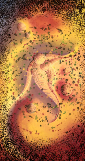 136N-2026 OX'ART. MARGAUX LANEYRIE